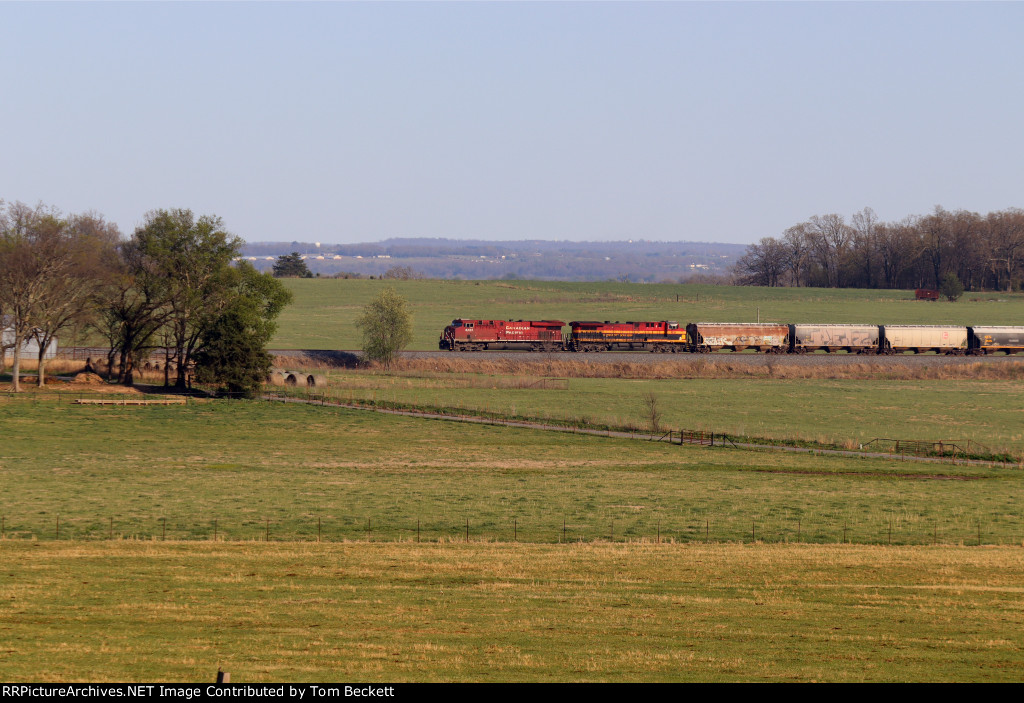 Ozark view